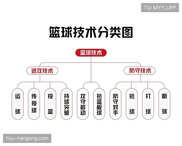 篮球运球规则具体包含哪些内容如何界定合法与违例动作